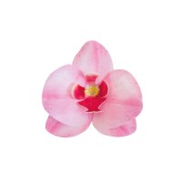 10 x Wafer Orchidee - Rosa - 8,5x7,5 cm (Waferdeko /...