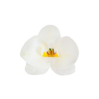 10 x Wafer Orchidee - Weiss - 8,5x7,5 cm (Waferdeko /...