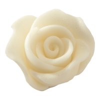 Zuckerblume – Rose klein – weiß (16...